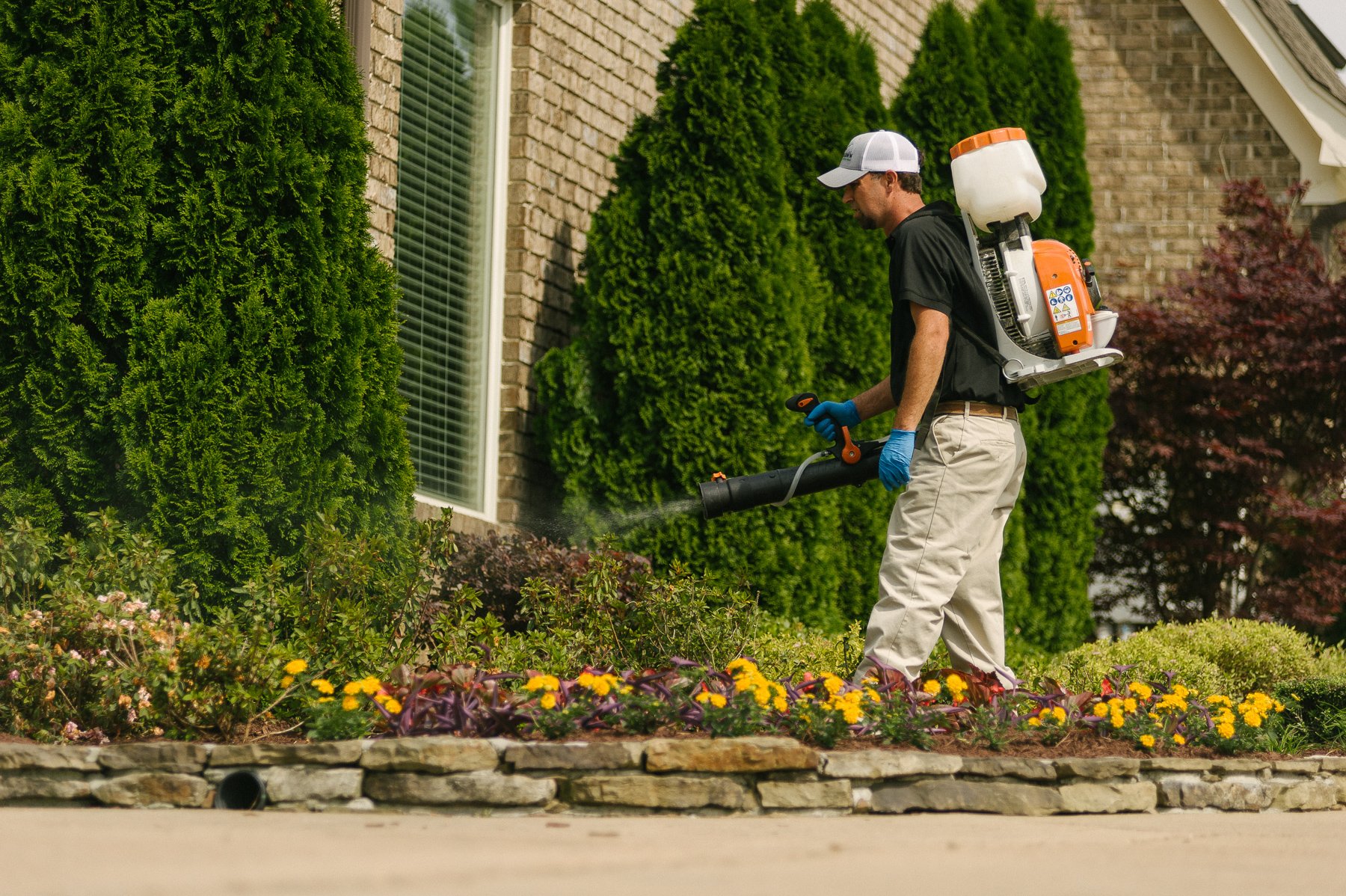 Flea lawn outlet treatment